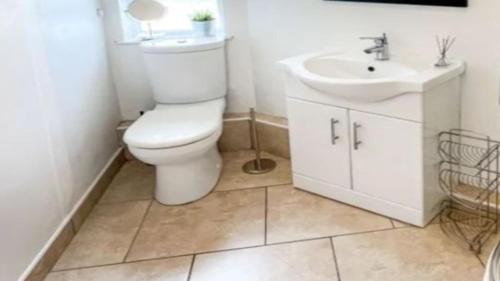 a bathroom with a toilet and a sink at Premium Chalet Jakober St.Anton in Sankt Anton am Arlberg