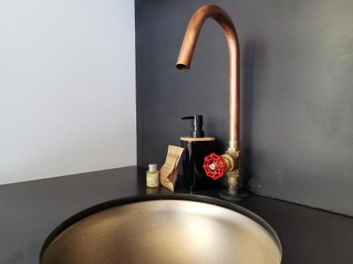 ein Waschbecken mit einem Wasserhahn auf einer Theke in der Unterkunft Gîte de Charme en Forêt: Nature, Confort, et Intimité Proche de Lyon et Clermont-Ferrand - FR-1-582-356 in Saint-Victor-sur-Arlanc