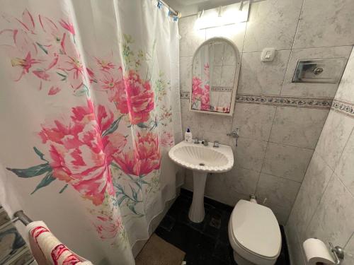 y baño con lavabo, aseo y cortina de ducha. en Comodo Y Acogedor Departamento En La Boca en Buenos Aires