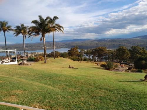 a park with palm trees and a view of the water at Norfolk Pines Motel in Merimbula