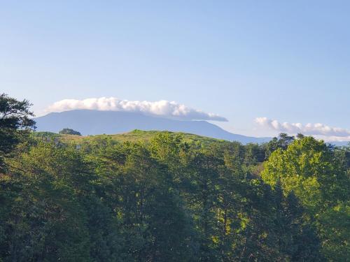 une cheminée à fumée au sommet d'une colline plantée d'arbres dans l'établissement Huny Bear Lodge, à Pigeon Forge