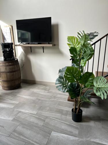 a living room with a television and a potted plant at Chalet Le Shack in Stratford