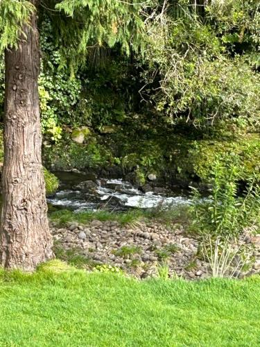 a tree in the grass next to a creek at Almost Heaven BNB in New Plymouth