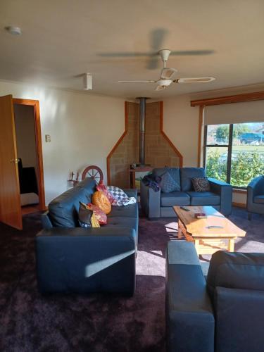 a living room with a blue couch and a table at the tigers lair accomadation in Mole Creek