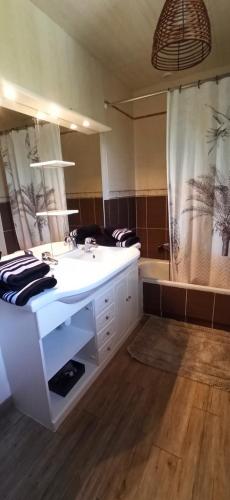 een badkamer met een witte wastafel en een douche bij Maison familiale au calme in Carros