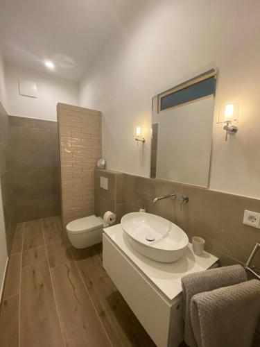 a bathroom with a sink and a toilet and a mirror at Ferienwohnung in den Dorfwiesen in Gersfeld