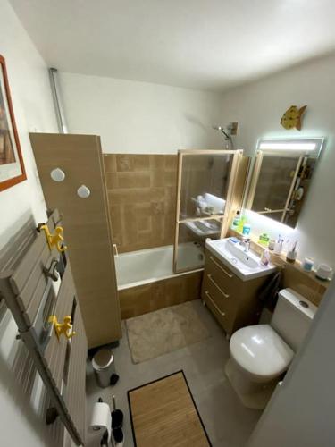 une salle de bain avec un lavabo, des toilettes et une baignoire dans l'établissement Logement cosy, situé entre ciel et mer, à Vence