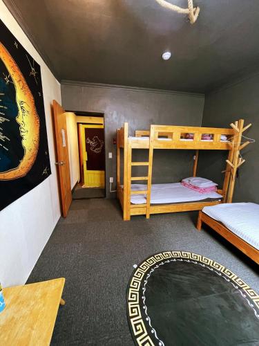 a room with two bunk beds and a circular rug at Doobaki Hostel in Gyeongju