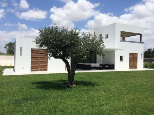 Casa Solà – Photos 4