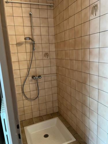 a bathroom with a shower with a toilet in it at Le Saint André in Villers-sur-Port