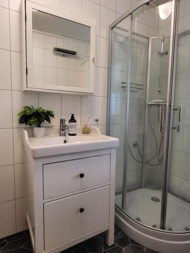 La salle de bains est pourvue d'un lavabo et d'une douche. dans l'établissement Idyllisk hus med sauna og jacuzzi, Lyngen, à Nord-Lenangen