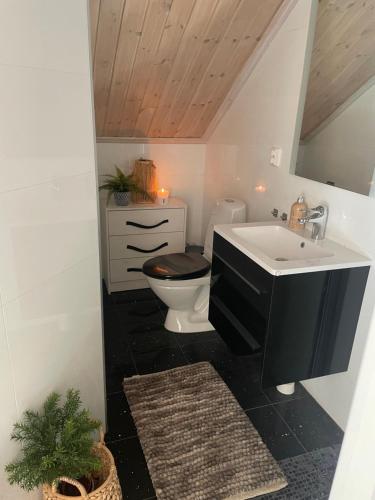 a bathroom with a toilet and a sink and a mirror at Ottsjö-Åre Lodge in Ottsjö