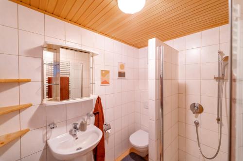 a bathroom with a sink and a shower and a toilet at Auszeit-Hof Südburgenland in Neuhaus am Klausenbach