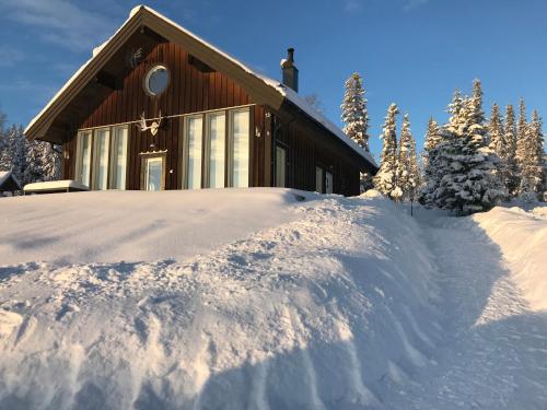 a house with a pile of snow in front of it at Ottsjö-Åre Lodge in Ottsjö