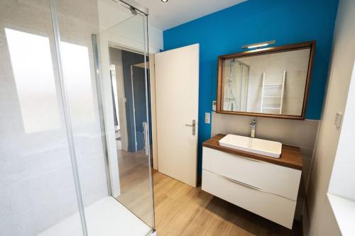 une salle de bain avec un lavabo et une douche en verre dans l'établissement L'appart' du dessous, à Gérardmer