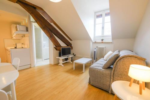 un salon avec un canapé et une télévision dans l'établissement Le Sommeiller - hyper centre avec garage, à Annecy