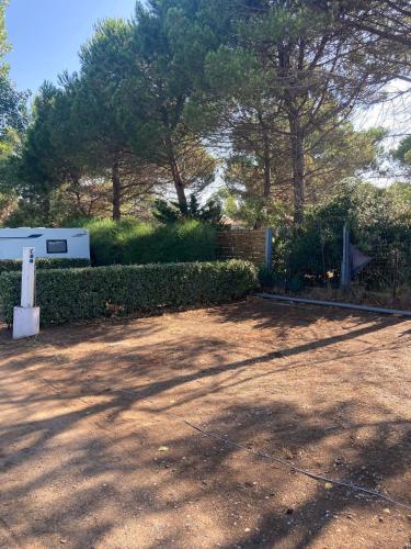 Camping le Roucan West – Photos 2