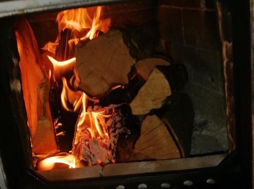 a fire in a brick oven with meat in it at Lärchenhaus ,,Unterer Brodl" in Kammersberg