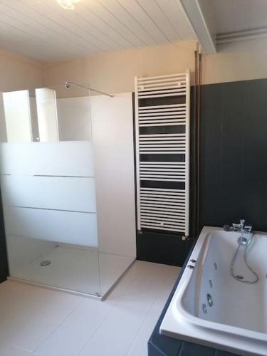 une salle de bain avec douche et baignoire dans l'établissement Gite 12 p Futuroscope - Chez Régis - 4 étoiles, à Chalandray