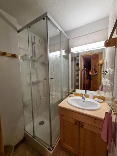 une salle de bain avec un lavabo et une douche en verre dans l'établissement Appartement cosy, 4 personnes, 2 chambres - MER04, à Beaufort