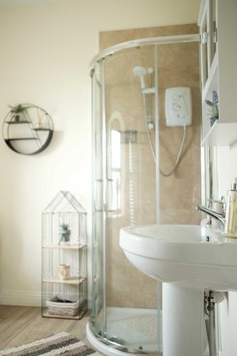a bathroom with a shower and a sink at Drumnavaddy Cottage Banbridge, Dromore, County Down in Dromore