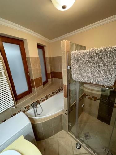 a bathroom with a shower and a toilet and a sink at IK Apartment in Debrecen