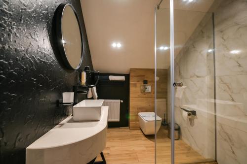 a bathroom with a sink and a mirror and a shower at Садиба на Кодимі in Archipitovka