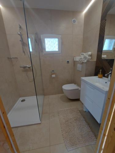 een badkamer met een douche, een toilet en een wastafel bij Haus Zielony und Haus Czerwony 