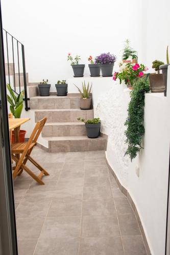 a patio with stairs and potted plants on the wall at Casa Rural Los Tablaos in Rute