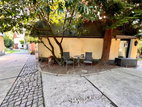 una mesa y sillas bajo un árbol al lado de un edificio en W.I.P. Welt im Park, en Dresden