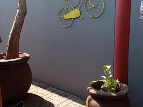 two potted plants sitting next to a wall with a clock at Grand Central Guesthouse in Rustenburg