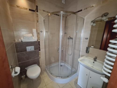 ブスコ・ズドロイにあるWilla Dorotkaのバスルーム(シャワー、トイレ、シンク付)