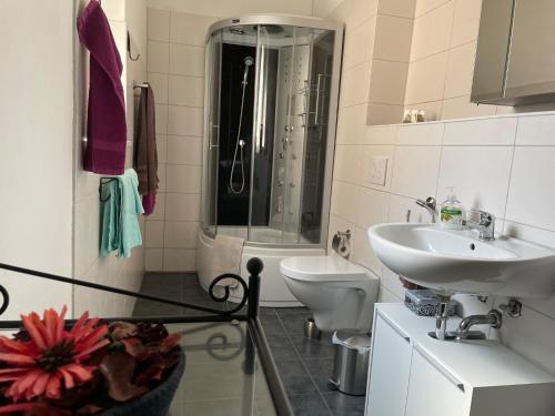 uma casa de banho com um chuveiro, um lavatório e um WC. em Michaelishaus em Werder