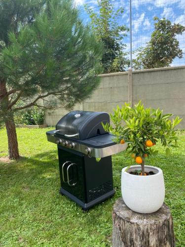 Κήπος έξω από το La Villa Lumaga