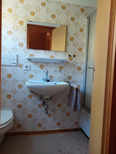 uma casa de banho com um lavatório, um WC e um espelho. em Haus am See Willingen em Willingen