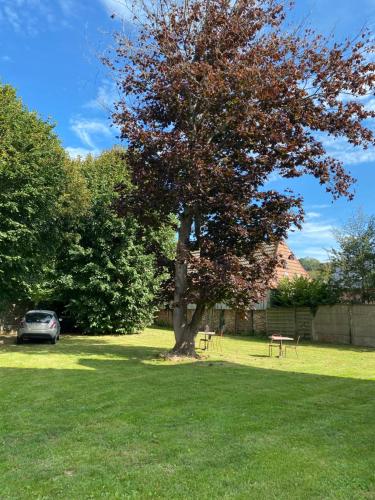 a tree in a field with a car parked under it at La Villa Lumaga in Étretat