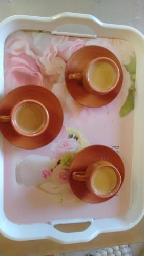 加尔各答Eco Corporate Inn的装满食物的塑料容器