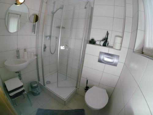 a bathroom with a shower and a toilet and a sink at Haus 1 Hanselishof - 2 Wohnungen in Schenkenzell