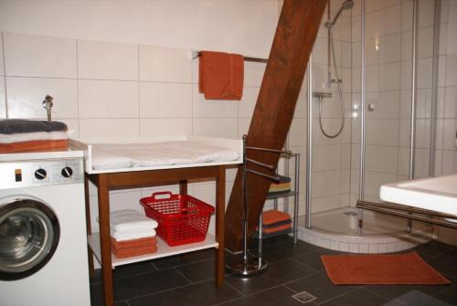 a bathroom with a sink and a washing machine at Haus 2 Hanselishof - 2 Wohnungen in Schenkenzell
