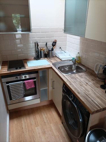 eine Küche mit einer Spüle und einer Waschmaschine in der Unterkunft Self-contained private apartment Unit 1 in London