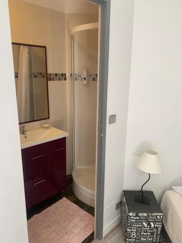 a bathroom with a shower and a sink and a tub at Chambre d’hôtes Le Prieuré in Gommerville