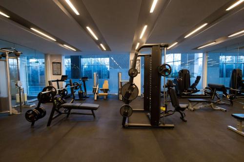 Fitness centrum a/nebo fitness zařízení v ubytování Hyatt Regency Dushanbe