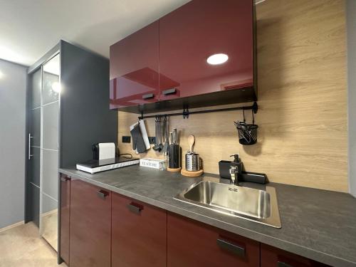 uma cozinha com um lavatório e uma bancada em Lady Apartments em Liberec