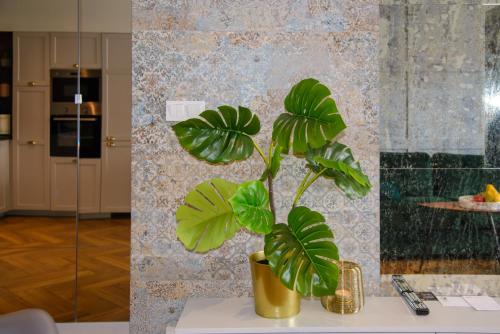 uma planta verde num vaso de ouro num balcão em Maya's Flats & Resorts 34 - Chmielna 73 em Gdansk