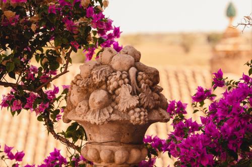 Κήπος έξω από το Hotel Villa Giulia