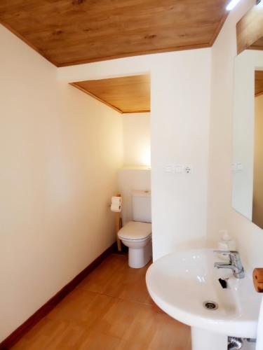 a bathroom with a toilet and a sink at El Cerezo in Torre del Compte