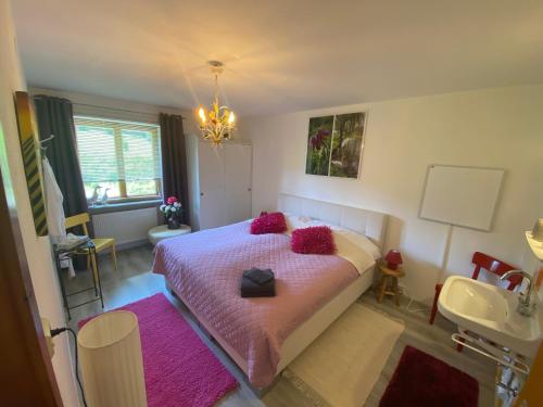 a bedroom with a pink bed and a sink at Gästehaus Schmitt in Lähn