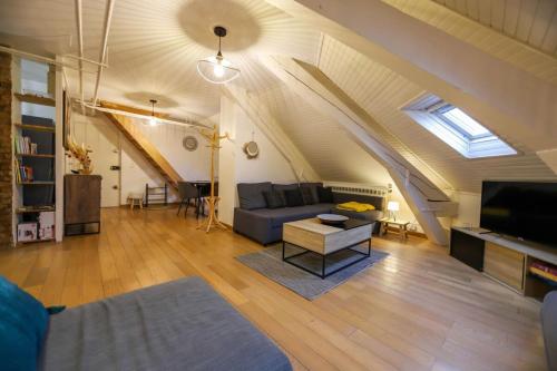 un salon avec un canapé et une télévision dans l'établissement Le Factory Duplex en vieille ville côté lac, à Annecy