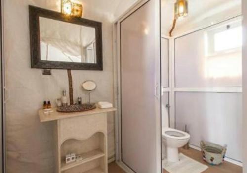 uma casa de banho com um chuveiro, um WC e um espelho. em Fantastic Luxury Camp em Merzouga
