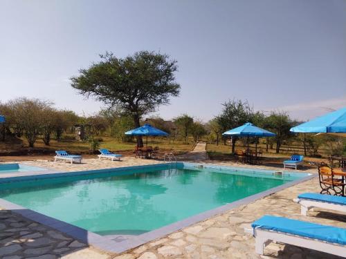 une grande piscine avec des parasols et des chaises bleus dans l'établissement ELANGATA OLERAI LUXURY TENTED CAMP, à Narok